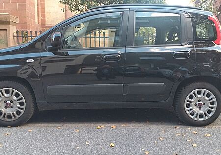 Fiat Panda gebraucht kaufen Fiat Panda 1,2