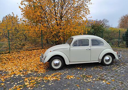 VW Käfer Volkswagen 1962 Export Dickholmer