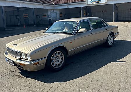 Jaguar XJ8 4.0 Sovereign Langversion aus Doktorenhand