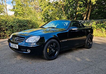 Mercedes-Benz SLK 200 Kompressor Mopf neu lackiert