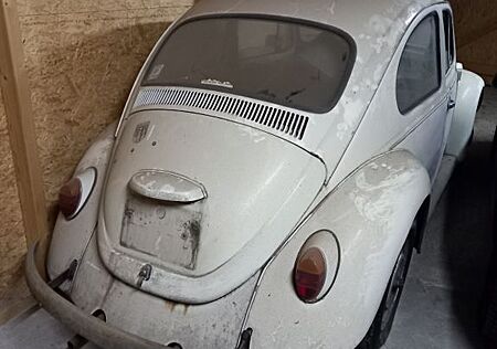VW Käfer Volkswagen