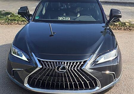 Lexus ES 300 300h Business Line Automatik Business...