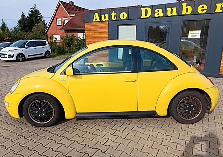 VW New Beetle Volkswagen 2.0+Klima+EU4+Leder(Recaro)+M&S+TÜV