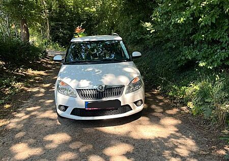 Skoda Fabia 1.6l TDI 77kW Ambition Combi Ambition