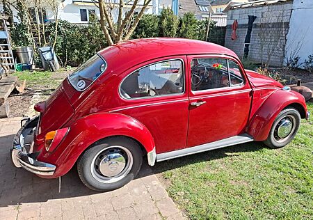 VW Käfer Volkswagen