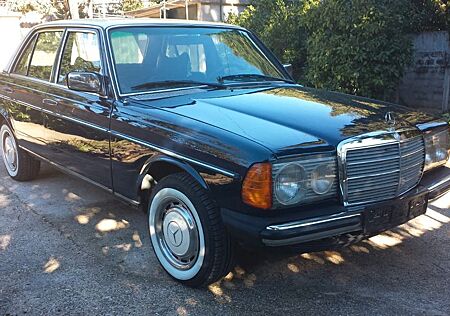 Mercedes-Benz 200 D W123, 1977, Vollrestauriert, Sammlerstück
