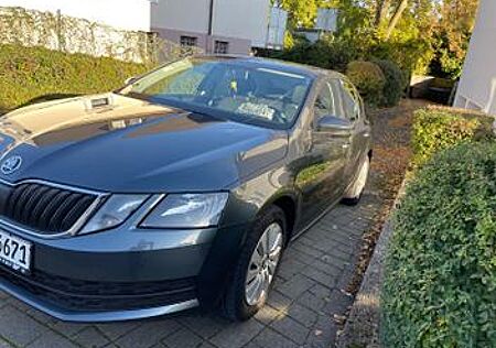 Skoda Octavia Privat Sehr guter Zustand