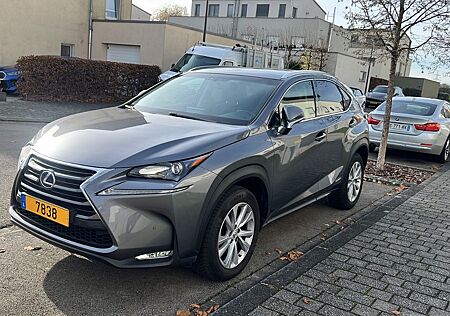 Lexus NX 350h NX 300 300h | Kamera | LEDER | Top