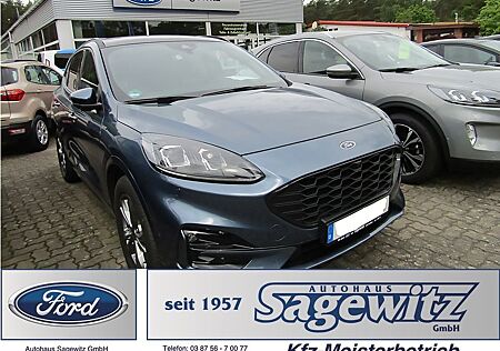 Ford Kuga 2.0 EcoBlue ST-Line X 4x4 Aut.Navi BT DAB