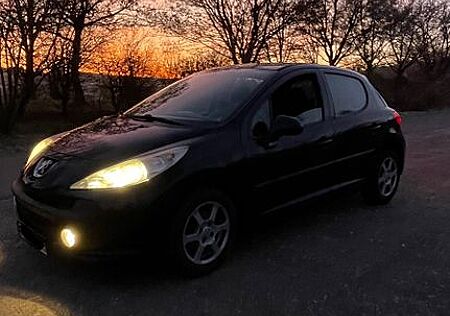 Peugeot 207 SW Filou 73 Filou