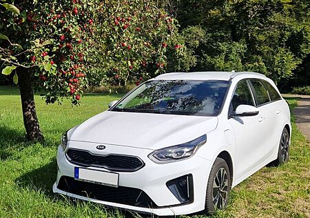 Kia Cee'd Plug-In-Hybrid/Kombi/AHK/SHZ/Scheckh