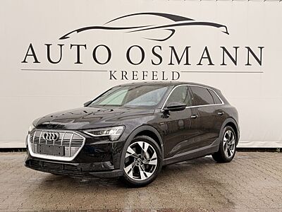 Audi e-tron 50 quattro / AHK / 360° / TOTW.