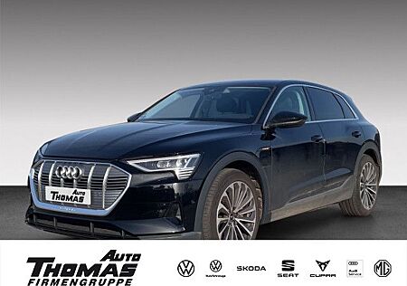 Audi e-tron 55 quattro NAVI+PDC+DAB+