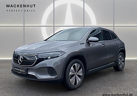 Mercedes-Benz EQA 250 + ELECTRIC ART ADVANCED LED BUSINESS RFK