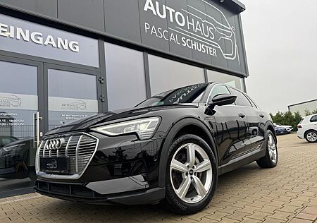 Audi e-tron 50 quattro/LED/ACC/AHK/LUFT/KAMERA/