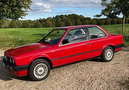 BMW 316 i Automatik rein u los