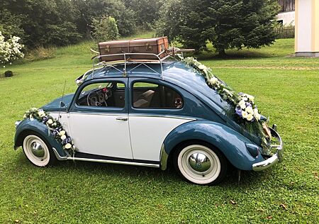 VW Käfer Volkswagen - Rarität
