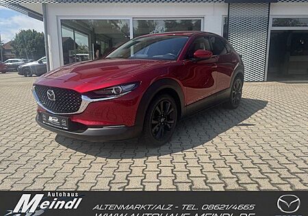 Mazda CX-30 SKYACTIV-X 2.0 M-HYBRID 186PS Selection Ma