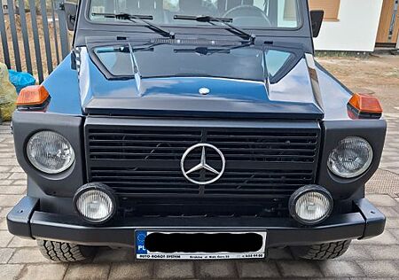 Mercedes-Benz G 290