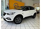 Opel Grandland X 2020 Navi+LED+AHK