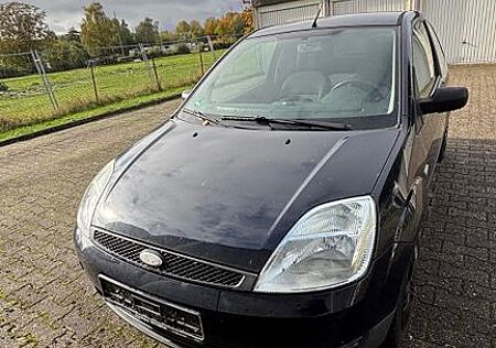 Ford Fiesta 1,3 44 kW Viva Viva