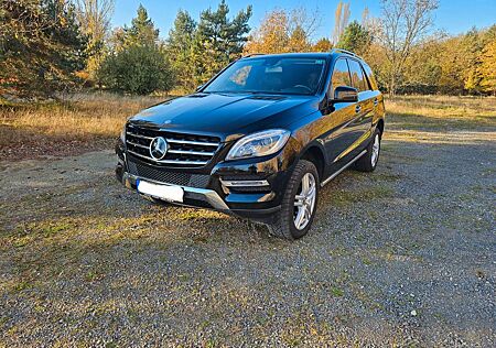 Mercedes-Benz ML 500 4MATIC -