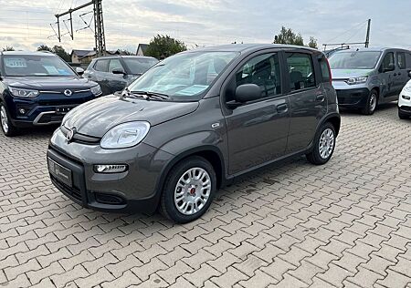 Fiat Panda 1.0 | Klima | Tech Paket