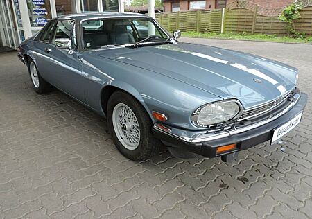 Jaguar XJS V12 AUTOMATIK * H- Kennzeichen*ZV*LEDER*ATM*