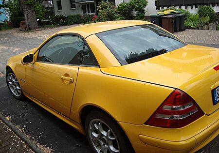 Mercedes-Benz SLK 200 Kompressor "Special Edition" Special...