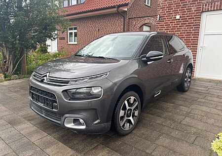 Citroën C4 Cactus Shine, TÜV/Service Neu*