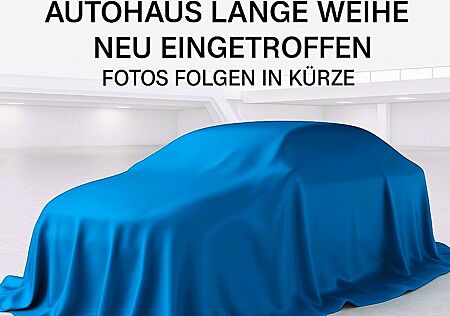 Ford Tourneo Custom Transit/Tourneo Behindertengerechte