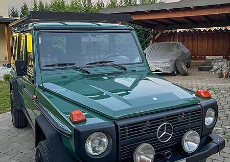 Mercedes-Benz G 290 W461