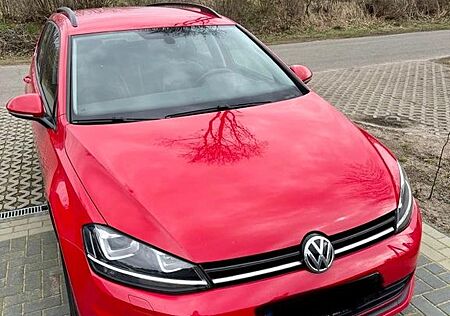 VW Golf Volkswagen 1.6 TDI SCR DSG Comfortline Variant Com...