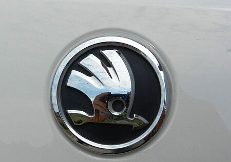 Skoda Octavia Combi Ambition *4xSitzheizung*