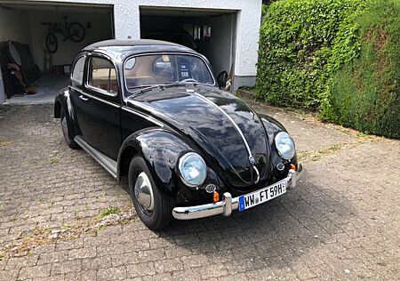 VW Käfer Volkswagen