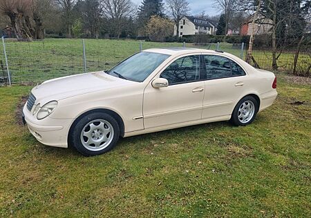 Mercedes-Benz E 200 CDI CLASSIC Taxi W211