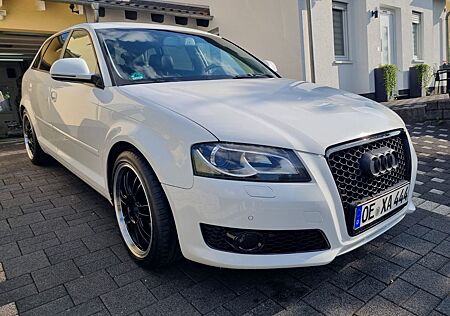 Audi A3 1.6 TDI Xenon Sportback AHK CarPlay Navi