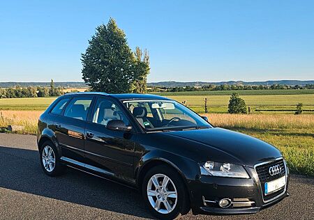 Audi A3 1.6 TDI AHK Tempomat Sitzheizung Bluetooth