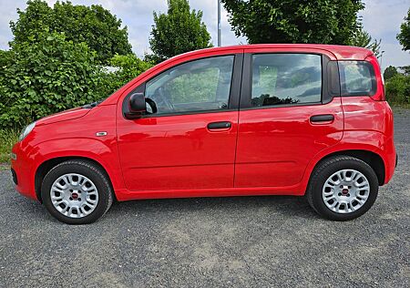 Fiat Panda in ROT sucht dich!