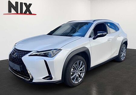 Lexus UX 250 h Style+ Edition KAMERA EPH