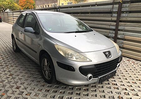 Peugeot 307 Grand Filou Cool