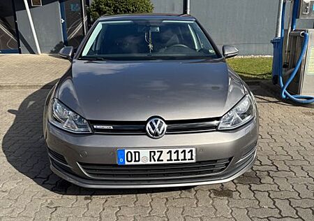 VW Golf Volkswagen 7 1.6 TDI Comfortline BlueMotion