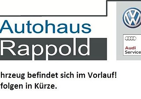 VW T6 Kombi Volkswagen T6.1 Kombi Schiebetüre beidseitig 9 SITZE