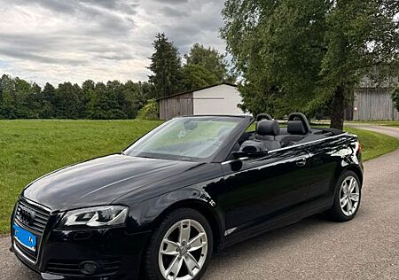 Audi A3 1.6 Attraction Cabriolet Attraction