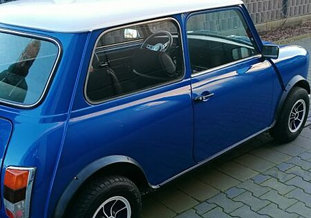Mini British Leyland, 1000