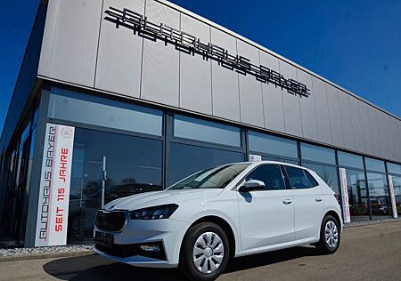 Skoda Fabia 80PS Amb. mit PDC!Klima!!SH!LED!4J-GAR