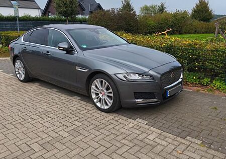 Jaguar XF 20d 180PS Portfolio Automatik Portfolio