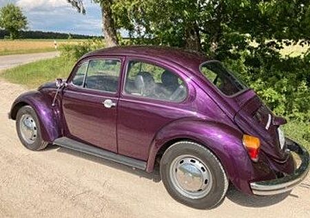 VW Käfer Volkswagen