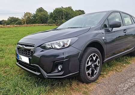 Subaru XV 1.6i Trend 4WD AHK Parksensoren 1. Hd. uff.