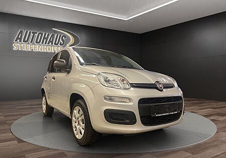 Fiat Panda Easy / CNG Erdgas-Benzin